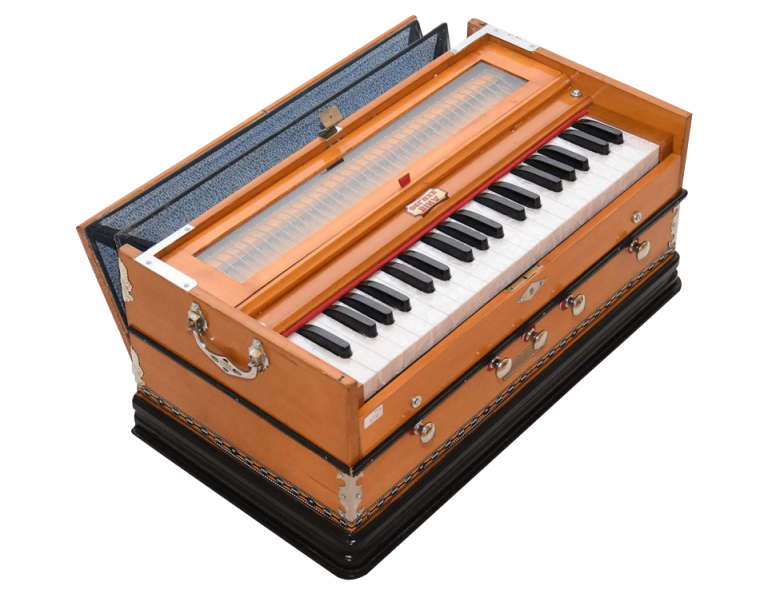 Strumenti Musicali Indiani La Guida Completa